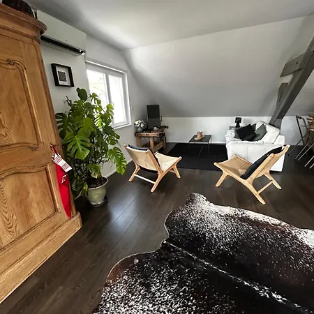 Chez Cecile, 6 Personnes Alsace Vignoble Apartmán *